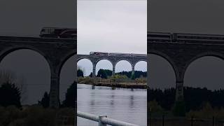 BelfastDublin Train train dublin belfast irishrail viaduct drogheda tren locomotive shorts [upl. by Naillik]