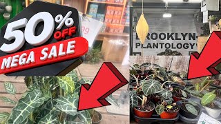 Brooklyn Plantology the Ultimate Plant Shopping experience [upl. by Tegdirb]