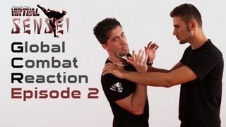 Ninjutsu self defense  Ep 2  Knife and back choke hold [upl. by Cormick]