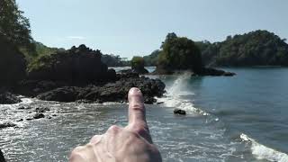 WAVE ACTION on a tectonically uplifting coast with a curious bird [upl. by Jeanette153]