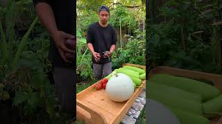 October ASMR Garden Grocery [upl. by Wrightson677]