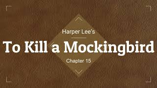 To Kill a Mockingbird Audio Ch 15 [upl. by Mallorie]