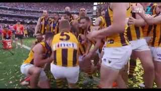 Norm Smith 2015 Cyril Rioli Magic Moments Grand Final 2015 HD [upl. by Ehcor433]