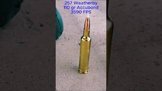 257 Weatherby at 1000 yards [upl. by Nottus]