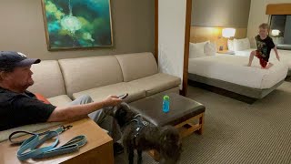 Hyatt Place OrlandoLake Buena Vista Pet Friendly Stay [upl. by Kariv]