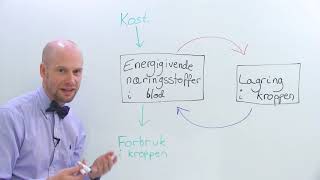 Overordnet regulering av metabolismen [upl. by Jacobsohn]