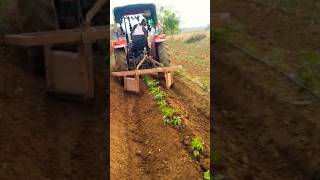 youtube farming ytShorts [upl. by Alimat]