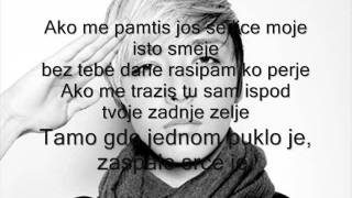 Milan Stankovic  Perje 2011 tekst [upl. by Maxama531]