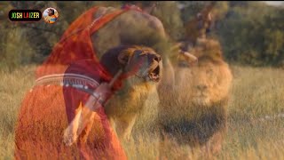 Maasai vs Lion Osinkolio Loongwesi [upl. by Sheffield369]