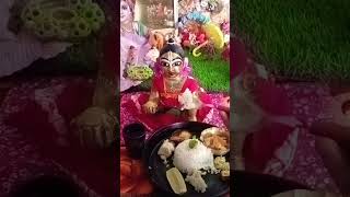 Dadashi bhog ðŸ˜Š susmitadas laddugopal bhog radheradhe shortvideo shorts [upl. by Sukram708]