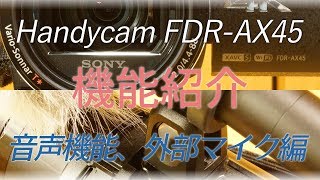 【Handycam】FDRAX45 レビュー音声機能、外部マイク【SONY】 [upl. by Berard]