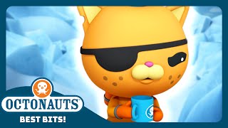 Octonauts  🙀 Kwazii Hates the Cold 🧊  Season 2  Best Bits [upl. by Gorman]