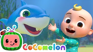 🦈 Baby Shark KARAOKE 🦈 CoComelon Nursery Rhymes  Sing Along With Me  Moonbug Kids Songs [upl. by Nwahsat735]