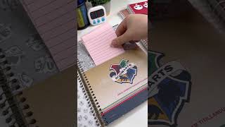 Planner Harry Potter Vídeo [upl. by Cilurzo989]