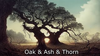 The Longest Johns  Oak amp Ash amp Thorn but with AIgenerated images for each lyric [upl. by Iru537]