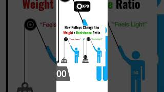 HOW PULLEYS CHANGE THE WEIGHT [upl. by Ezarras]