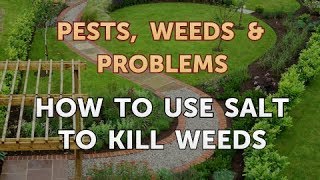 How to Use Salt to Kill Weeds [upl. by Lundt]