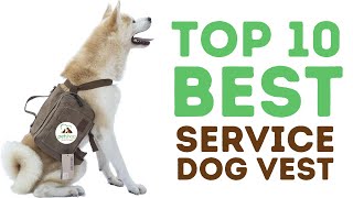 Best Service Dog Vest and Harnesses [upl. by Laurin379]