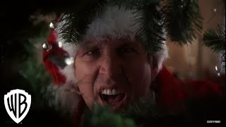 National Lampoons Christmas Vacation  Squirrel Scene  Warner Bros Entertainment [upl. by Edylc]