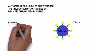 What is Antigen Properties Types and Structure of Antigens Easy explanation [upl. by Shum]