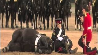 Beating Retreat 2013 The Household Cavalry Mounted Band [upl. by Lyrahc]