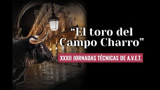 El 🐂 Toro del Campo Charro 🐂 [upl. by Ozkum]