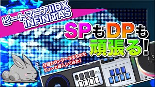 弐寺 152 INFINITASでSPもDPも頑張る配信！DPレベル11と12に特攻！3 」∠ [upl. by Bryna]