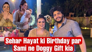 Sehar hayat ki Birthday party par humny kheli Game  Pralog Episode 81 [upl. by Adlin]