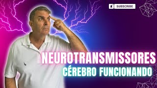 Neurotransmissores Dr Nelson Marques [upl. by Al]