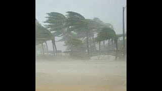 Live Video Footage of Hurricane Maria in Guadeloupe  Hurricane Maria Heads for Puerto Rico Dom Rep [upl. by Ziagos]