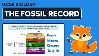 The Fossil Record  GCSE Biology [upl. by Alec335]