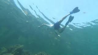 Backyard Snorkeling Bahrain [upl. by Patterman]