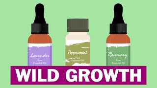 Best 6 Essential Oils For Hair Growth [upl. by Debora]