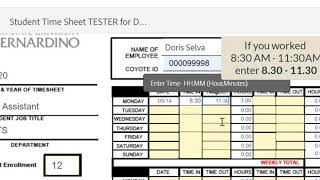 CSUSB How to Complete the Student Assistant Monthly Timesheet 2020 [upl. by Lucina910]