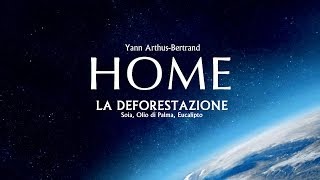 HOME  La Deforestazione Soia Olio di Palma Eucalipto  HD [upl. by Ardnauqal]