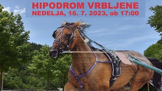 Kasaške dirke HIPODROM VRBLJENE 167 2023 [upl. by Deibel873]