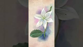 How to paint a white flower in watercolor style digitally happypainting botanicalillustration [upl. by Ataymik]