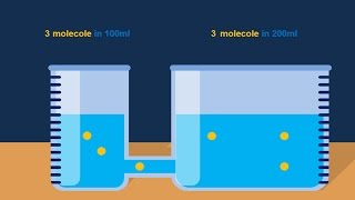 Osmosi e diffusione [upl. by Meelak716]