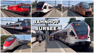 Züge beim Bahnhof Sursee  Trains at Sursee station 2023 [upl. by Enovi]