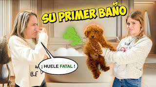 🤢 BAÑO A MI PERRO BEBÉ POR PRIMERA VEZ HUELE MUY MAL 💩 Daniela Go [upl. by Cir]