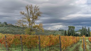 Un tour nel chianti ottobre 2024 4k [upl. by Hamrnand]