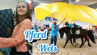 Pferd Wels 🐴 Meet amp Greet mit Bernd Hackl 🤠 FMA  ein Tag auf der Pferdemesse  Shopping amp Pferde ❤️ [upl. by Arinayed249]