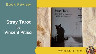 Stray Tarot How to Survive As a Tarot Reader by Vincent Pitisci [upl. by Martha998]