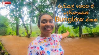 රුපියල් 4000ට දෙනියායෙන් Bungalow එකක් Budget Hotels in Sri Lanka  Deniyaya srilanka deniyaya [upl. by Werra]