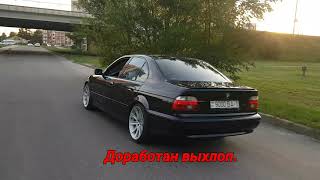 BMW E39 525D custom exhaust sound diesel Выхлоп [upl. by Acimat]