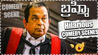 Brahmanandam SuperHit Comedy Scenes  Latest Comedy Scenes  Telugu Comedy Club [upl. by Euqimod956]