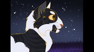 The AccidentSwiftpaw Warrior Cats [upl. by Riobard453]