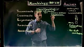 Archaea Diversity [upl. by Neall]