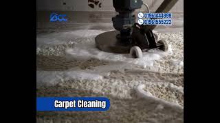 Carpet Cleaning [upl. by Azitram396]