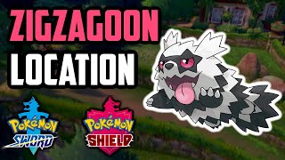 How to Catch Zigzagoon  Pokemon Sword amp Shield [upl. by Chelton826]